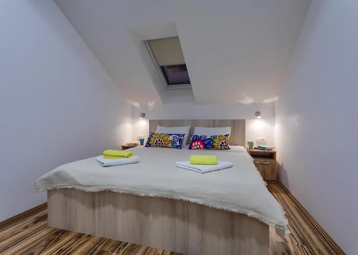 Forest * 兹拉蒂博尔