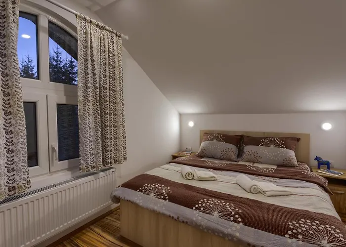 Forest * 兹拉蒂博尔