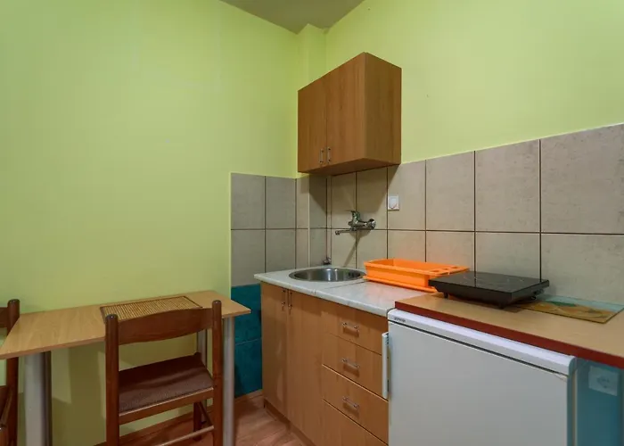 Forest * 兹拉蒂博尔