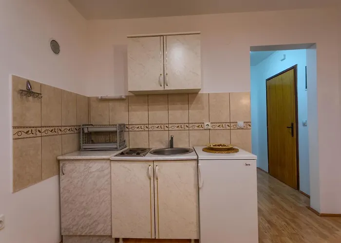 Forest * 兹拉蒂博尔